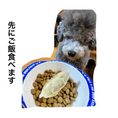 Culumi_20250715001007