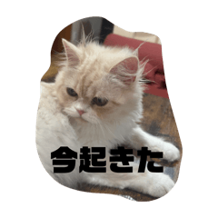 yuzu_20250714235906