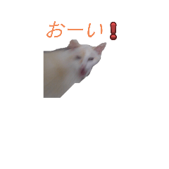 yu_20250714210456