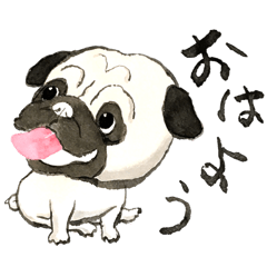 Pug friends' daily greeting sticker