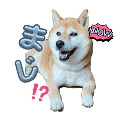 Summer_20250714220148