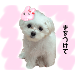 haatan_20250715012424