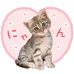 なつめの気まぐれスタンプ