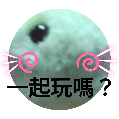我是可愛小蛇蛇