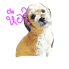 Kimji is doggg