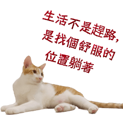 點點貓生語錄