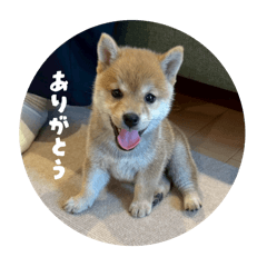 YU_20250714224625