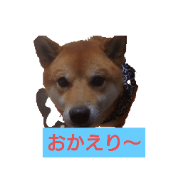 MASA_20250715062231