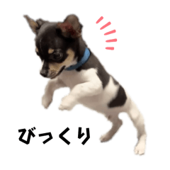 peeen_20250714155003