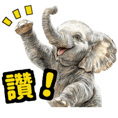 Elephant fan of a yellow baseball team1