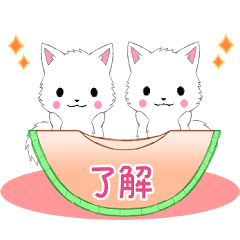 ちび白モフ18【夏】