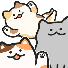 Various chubby cats daily life