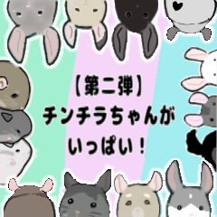 チンチラちゃんがいっぱい！【第二弾】
