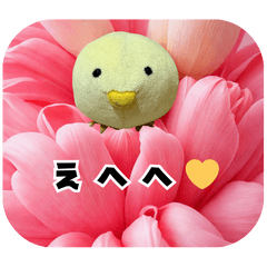 Chicks and Shimaenaga 2