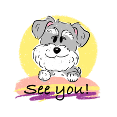 KAWAII Miniature Schnauzer