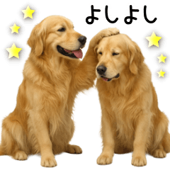 The gentleness of a Golden Retriever