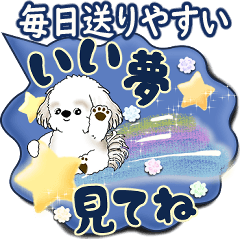 Shih tzu 2025 (Easy to send every day)
