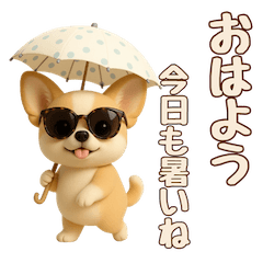 mochi mochi chihuahua