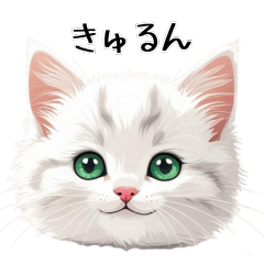 Expressive Cat Faces for Daily Chats
