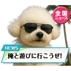 MAKI_20250714173902