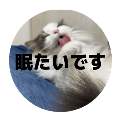 kk_20250714231035