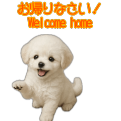 White poodle greeting stamp