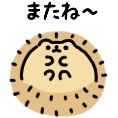 Round hedgehog (Japanese)