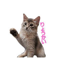 HARUKA_20250715024428