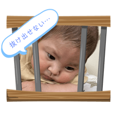 haru_20250715020459