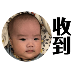 小睿哥1.0