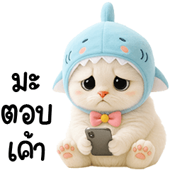 แมวขาวน้อยหมวกหลาม