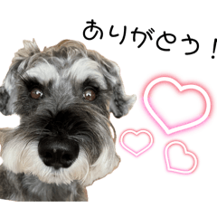 A Day with Teo Stickers