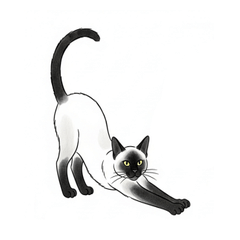 Sumi-e Cats & Kittens: Dynamic Poses
