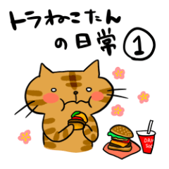 No.1 Everyday life of a brown tiger cat.