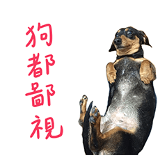 我最可愛的寶貝狗狗摳辣很餓