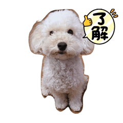 wakana_20250713161859