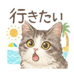 ruru_20250713173331