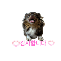 CHOCO_20250713135849