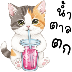 โอเด้ง แมวเมี๊ยวๆ