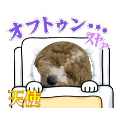 rui_20250715232236
