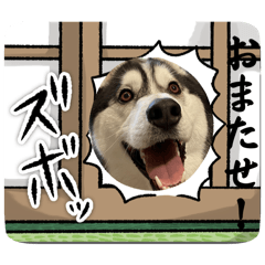 tomomi_20250715133822