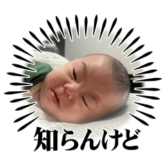 haru_20250715144632
