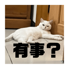 超派日常