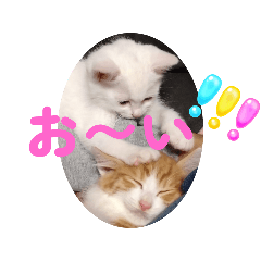 achamin_20250715175654