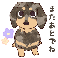 I Love Dachshund (Silver/25D)