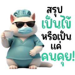 เหมียวเหมียว เป็นหมอ