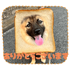 Chihiro_20250715114322