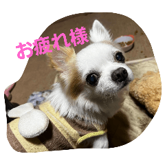 hide_20250715172441