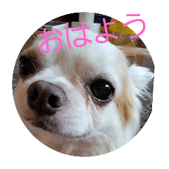hide_20250715172224