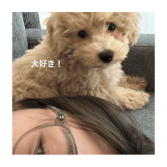 koko_20250715195202